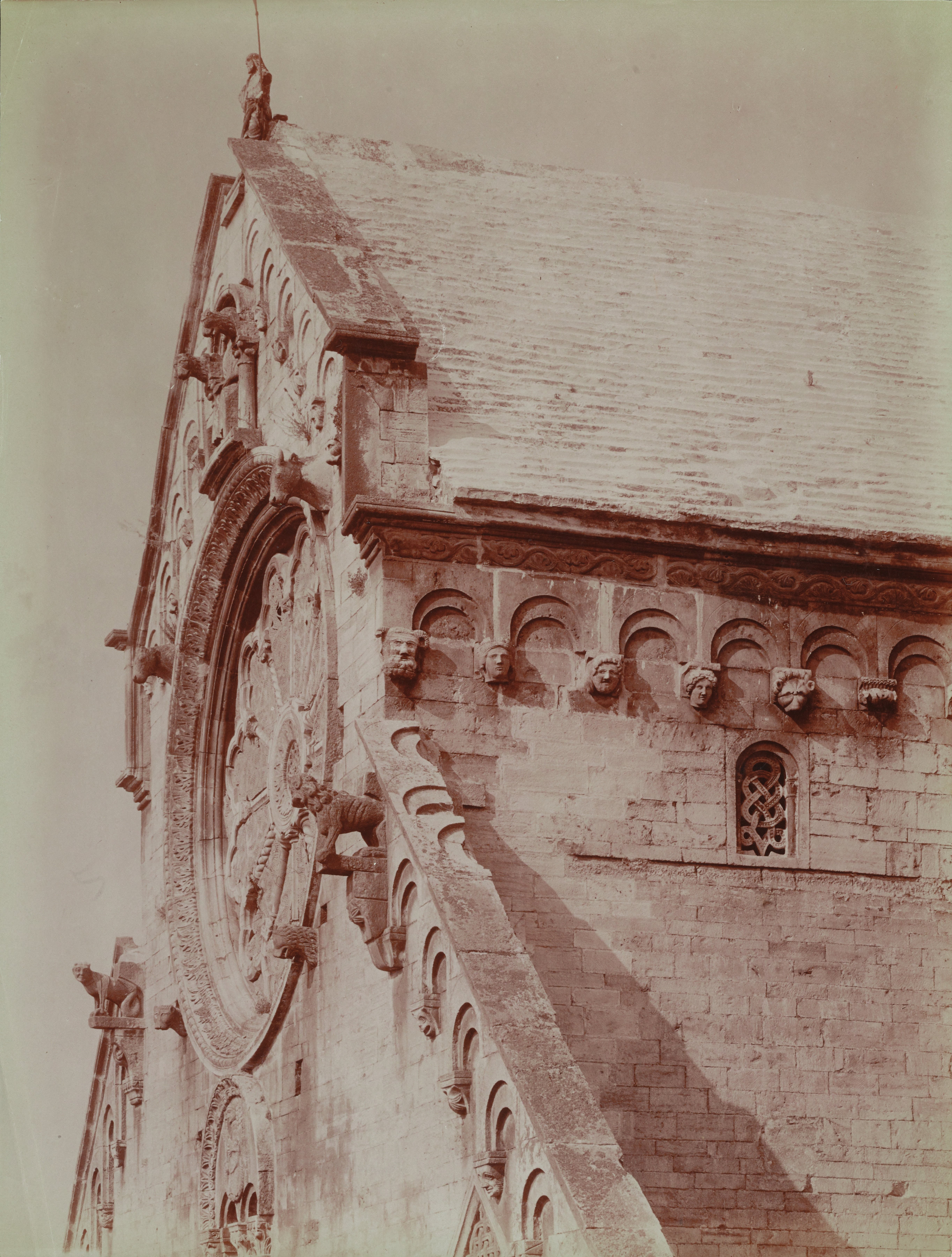 Fotografo non identificato, Ruvo di Puglia - Cattedrale S. Maria Assunta, facciata lato destro, 1901-1910, albumina, MPI6091653