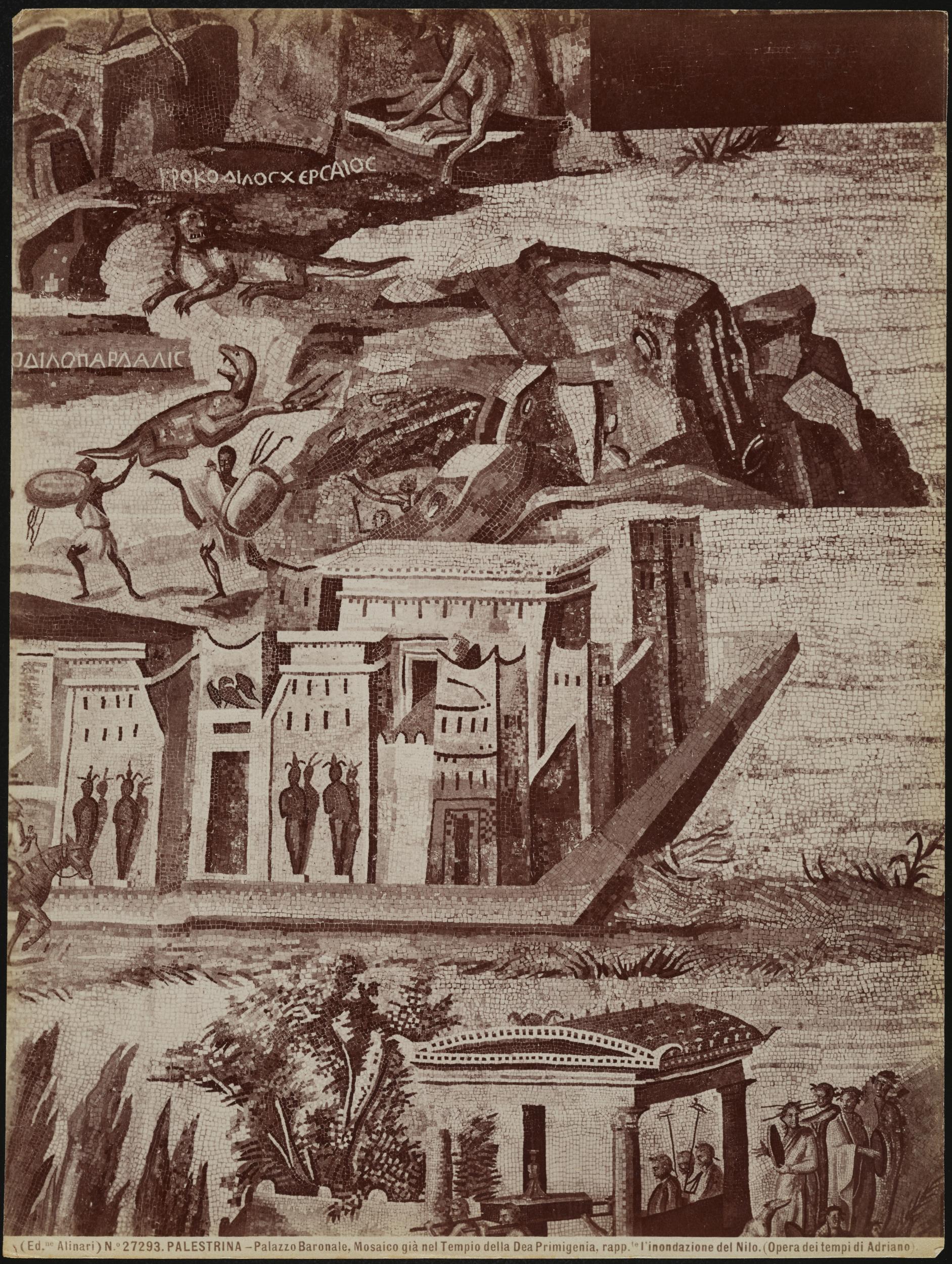 Fratelli Alinari, Palazzo Colonna Barberini, oggi sede del Museo Archeologico Nazionale, Mosaico del Nilo, particolare, albumina, MPI6099465