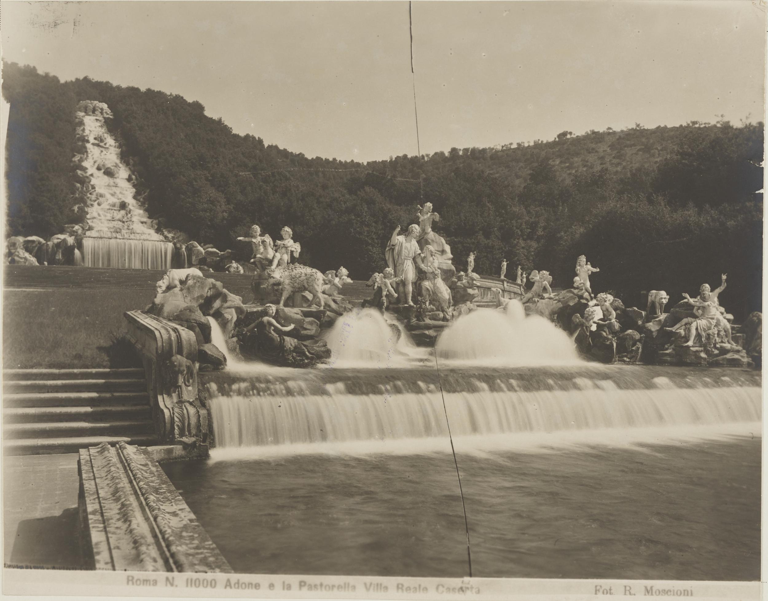 Romualdo Moscioni, Caserta - Palazzo Reale, parco, fontana di Venere e Adone, gelatina ai sali d'argento, MPI145159
