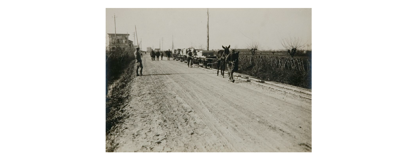 Fotografo non identificato, trenino Décauville a trazione animale, 1919, gelatina ai sali d'argento, 12x17 cm, PV000349