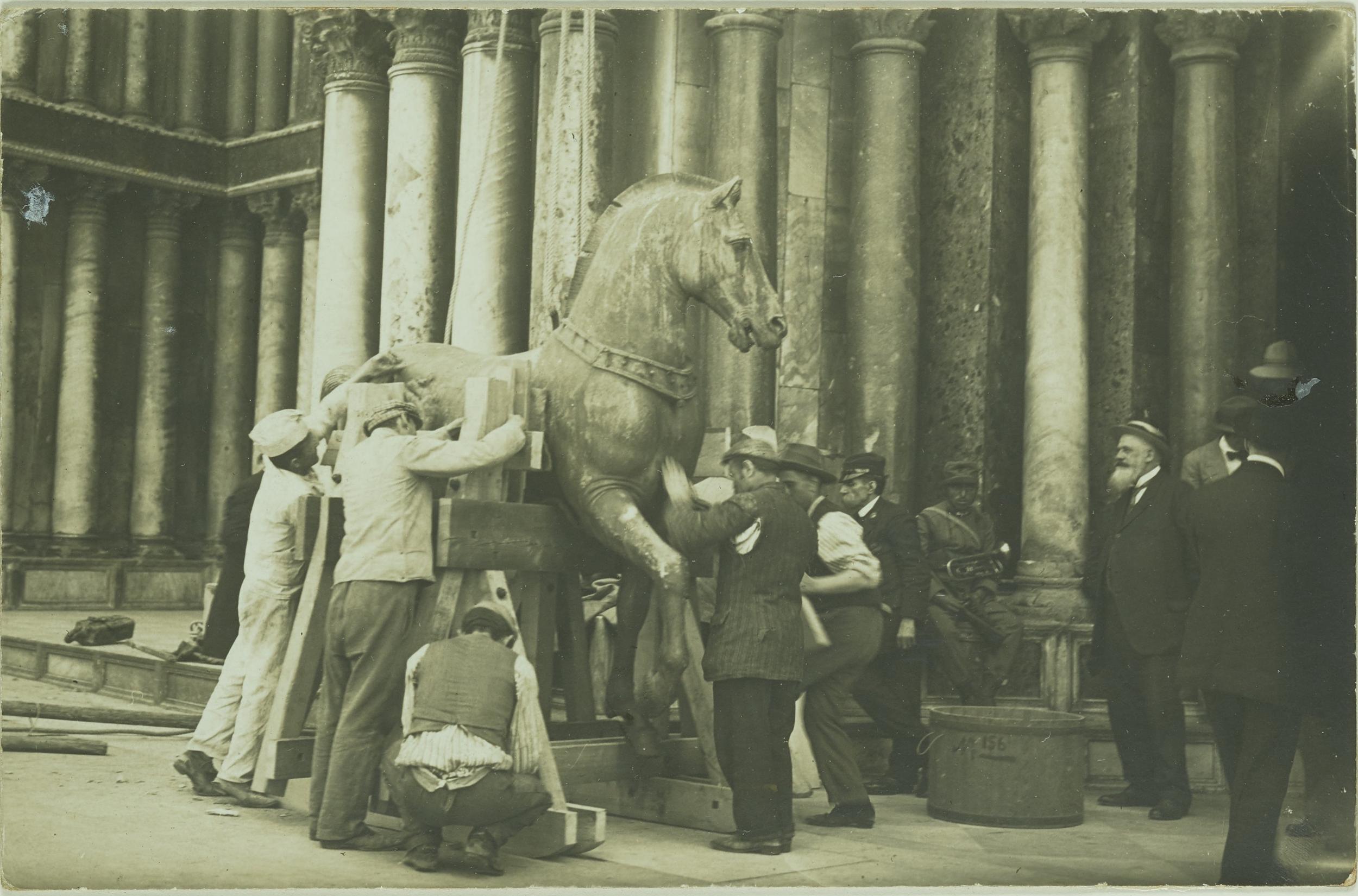Fotografo non identificato, Venezia - Basilica di S. Marco, un cavallo, trasporto, gelatina ai sali d'argento, MPI6075930