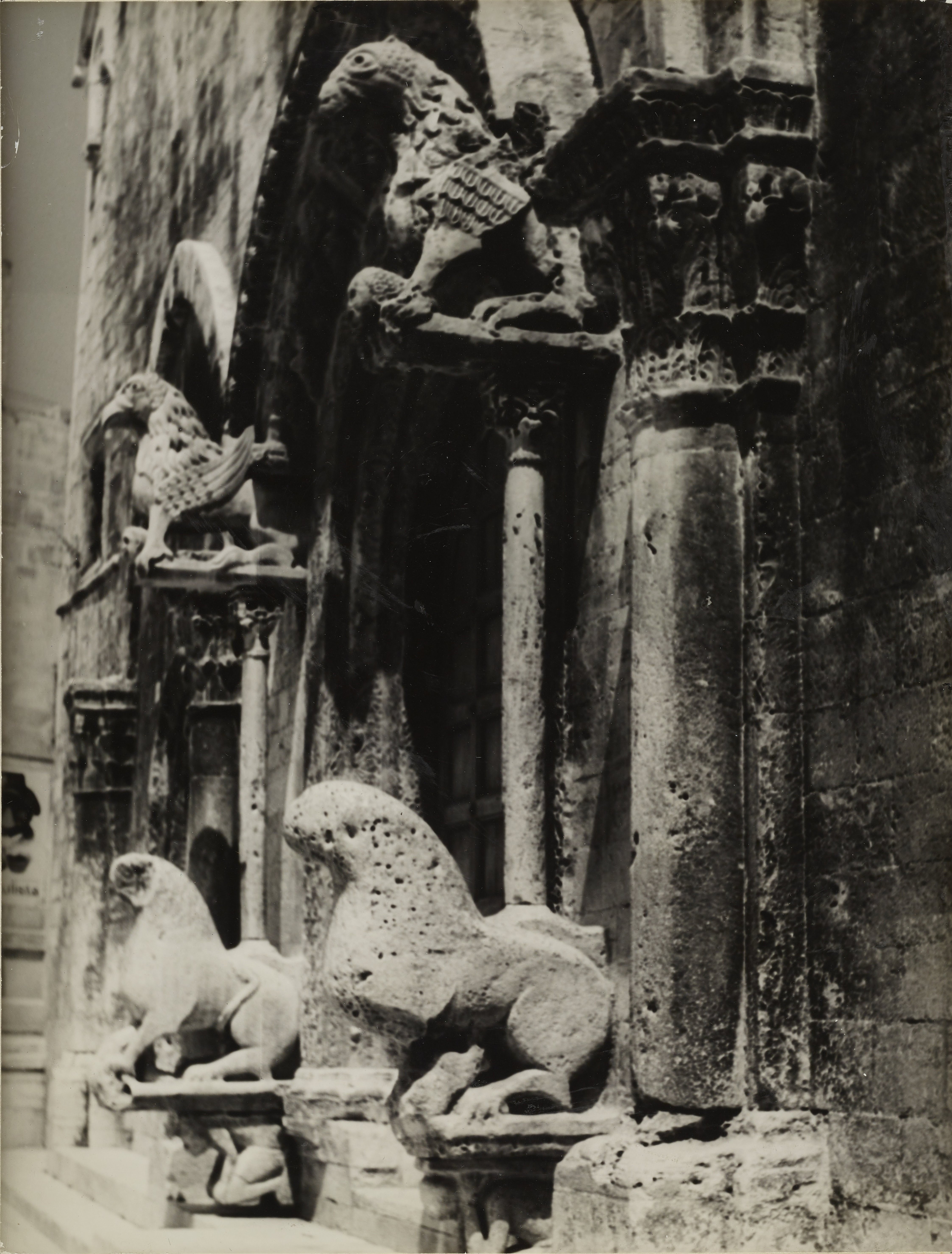 Pagano, Ruvo di Puglia - Cattedrale di S. Maria Assunta, Portale, particolare, 1941-1960, 1941-1960, gelatina ai sali d'argento/carta, MPI6091617