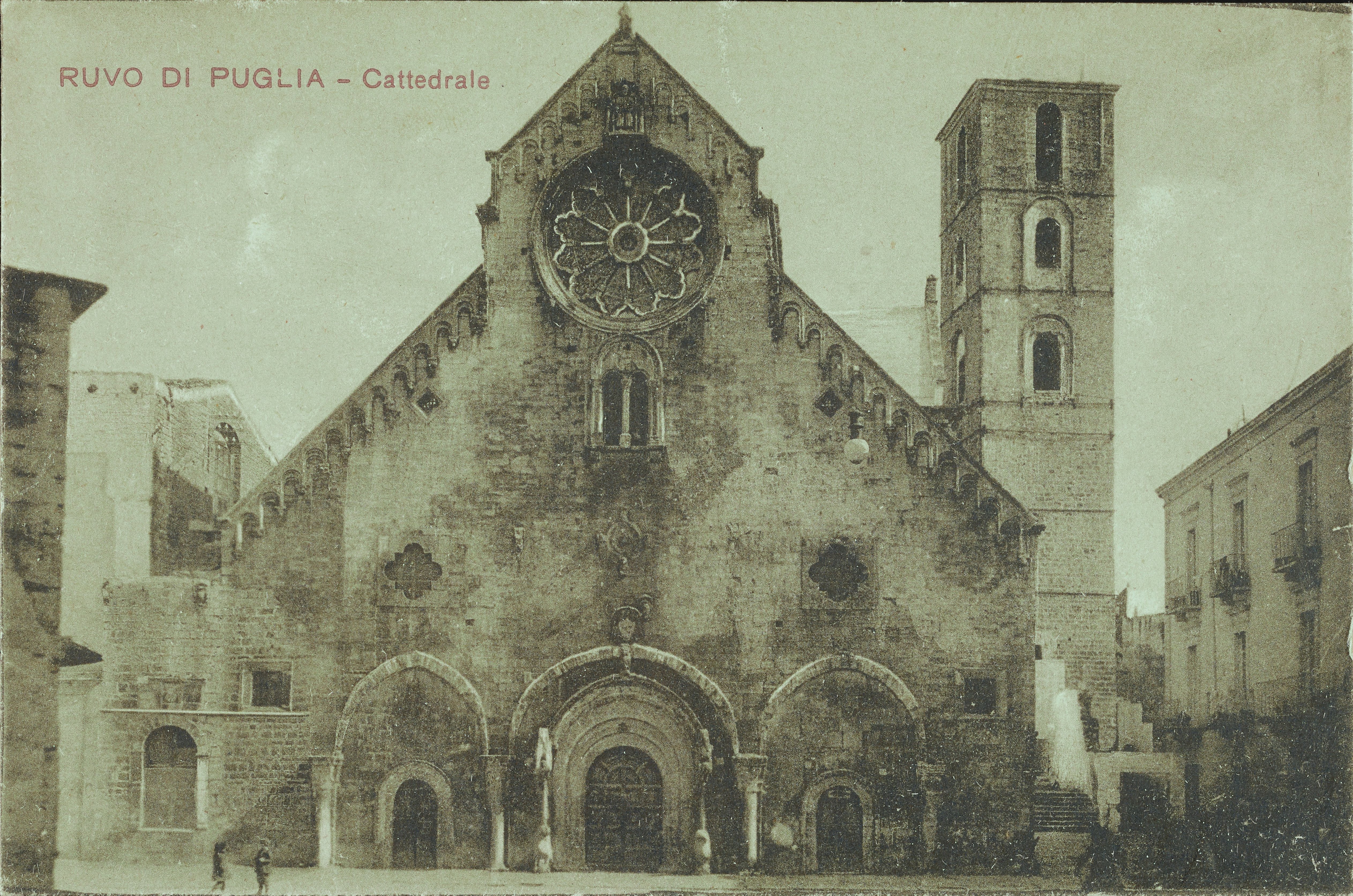 Fotografo non identificato, Ruvo di Puglia - Cattedrale S. Maria Assunta, 1901-1925, collotipia, MPI6091645