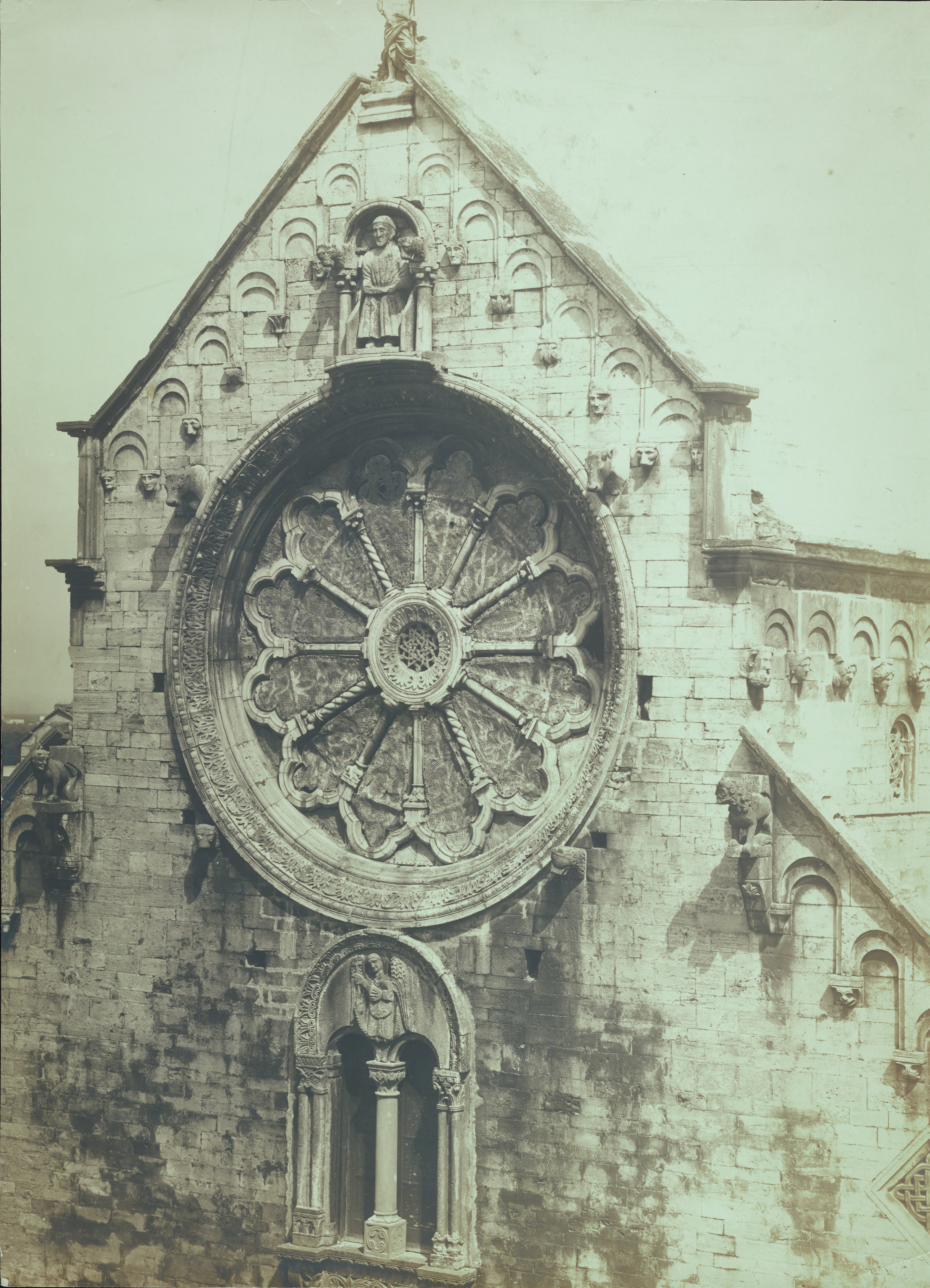 Fotografo non identificato, Ruvo di Puglia - Cattedrale S. Maria Assunta, rosone e bifora, 1901-1925,  gelatina ai sali d'argento/carta, MPI6091652