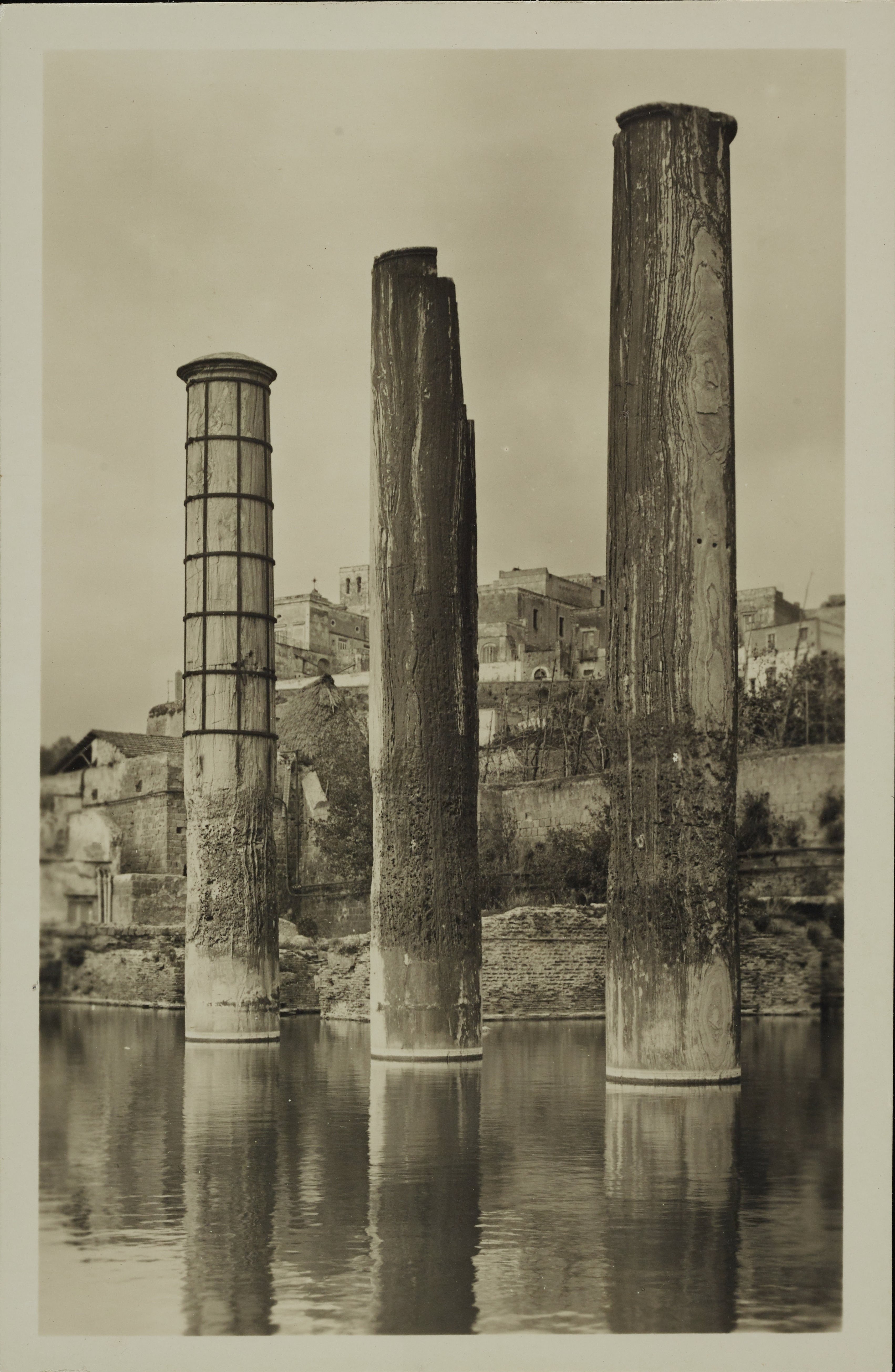 Morpurgo, Luciano, Pozzuoli - Tempio di Serapide o Macellum, colonne, 1901-1925, gelatina ai sali d'argento, MPI6014322