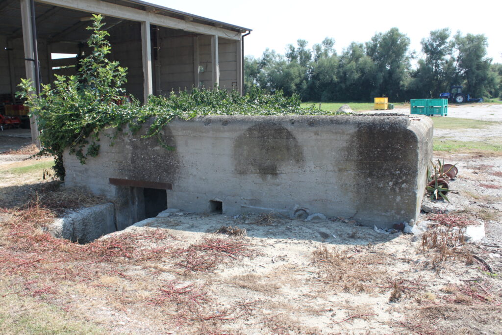 Autore sconosciuto, Tobruk Vf59a Azienda agricola “Bucchi”, Casalborsetti,   ICCD_MODI_9146239282371