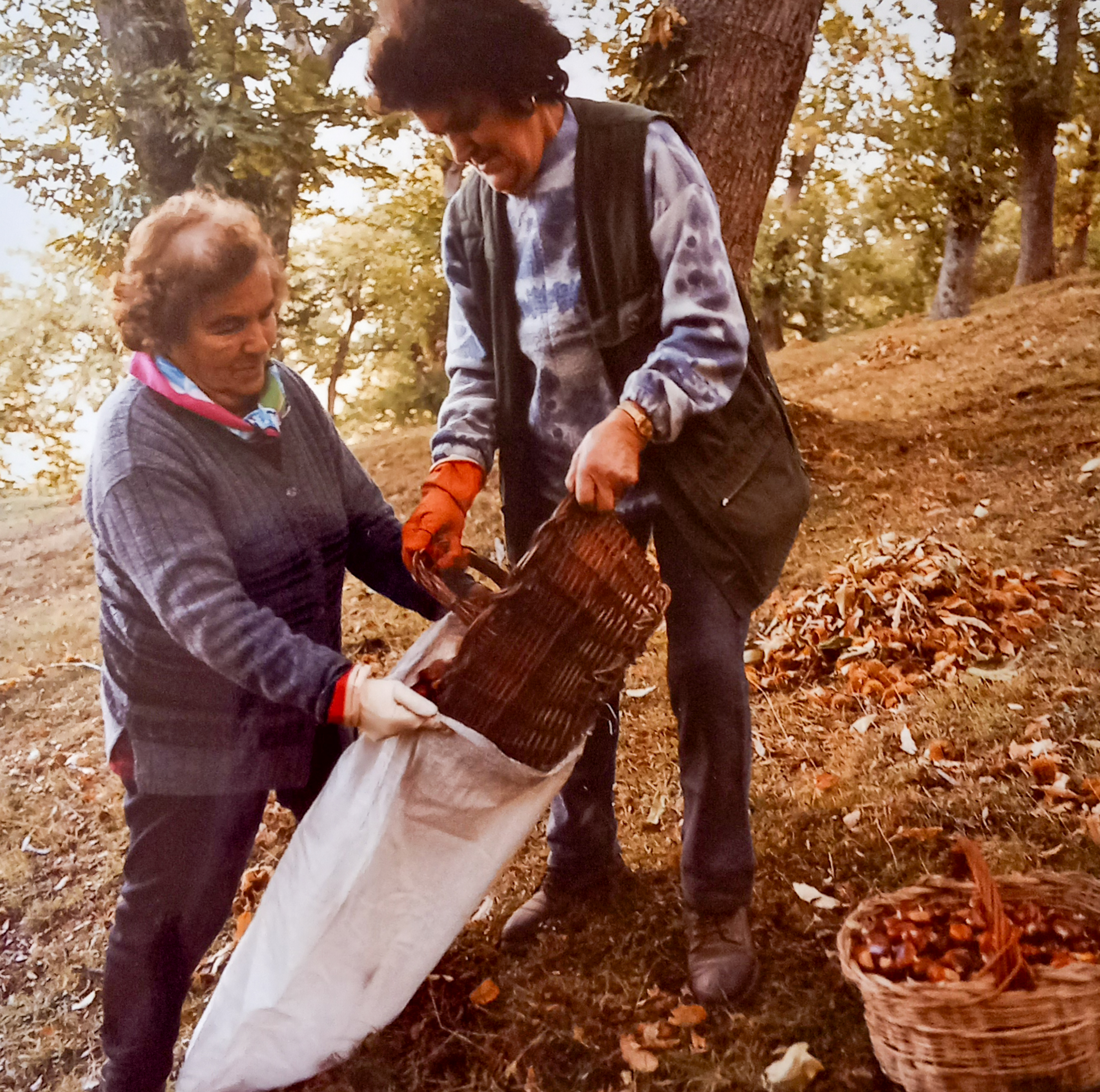 Autore sconosciuto, Podere Salto, anni '80 del Novecento, fotografia analogica, 10x15 cm