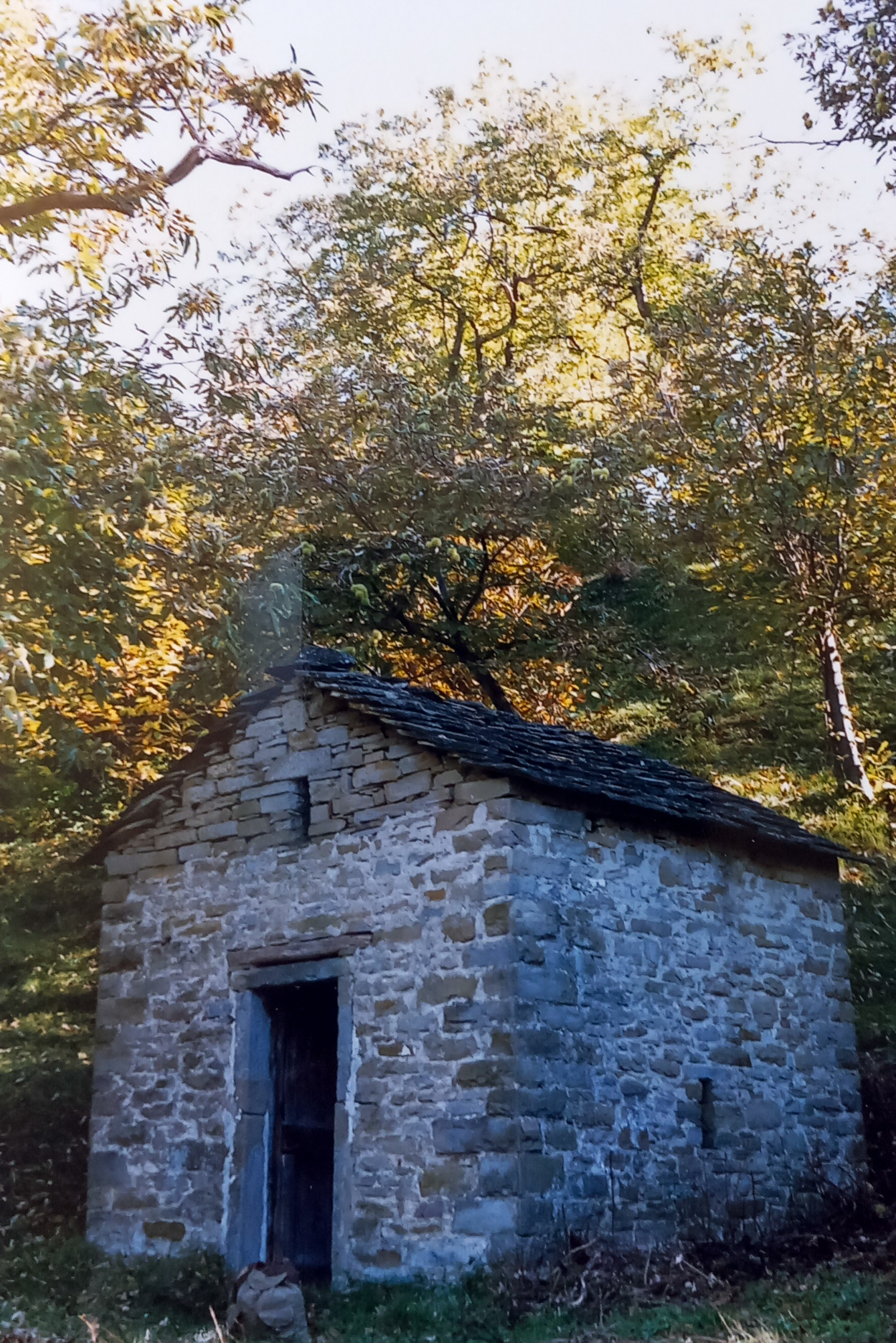 Autore sconosciuto, Seccatoio, anni '80 del Novecento, fotografia analogica, 10x15 cm